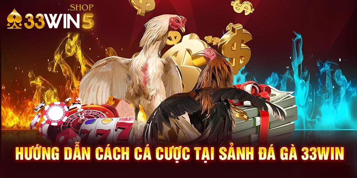 Hướng dẫn cách cá cược tại sảnh đá gà 33win5