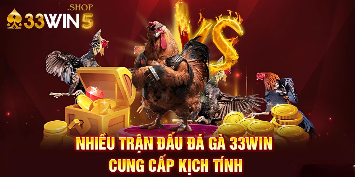 Nhiều trận đấu đá gà 33win5 cung cấp kịch tính